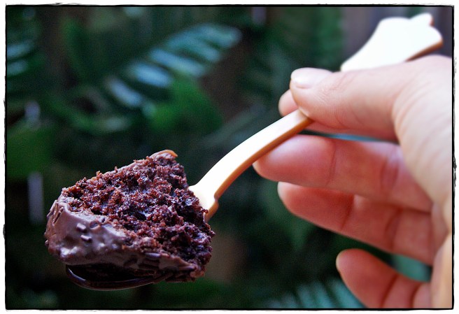 bizcocho de chocolate y calabacín.JPG