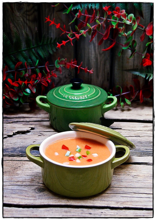 gazpacho andaluz 2...JPG