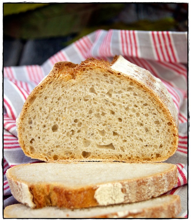 hogaza de pan con masa madre 2.JPG