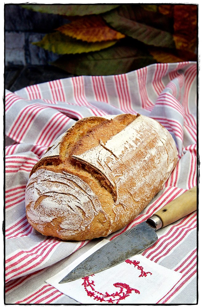 Hogaza de pan con masa madre.JPG