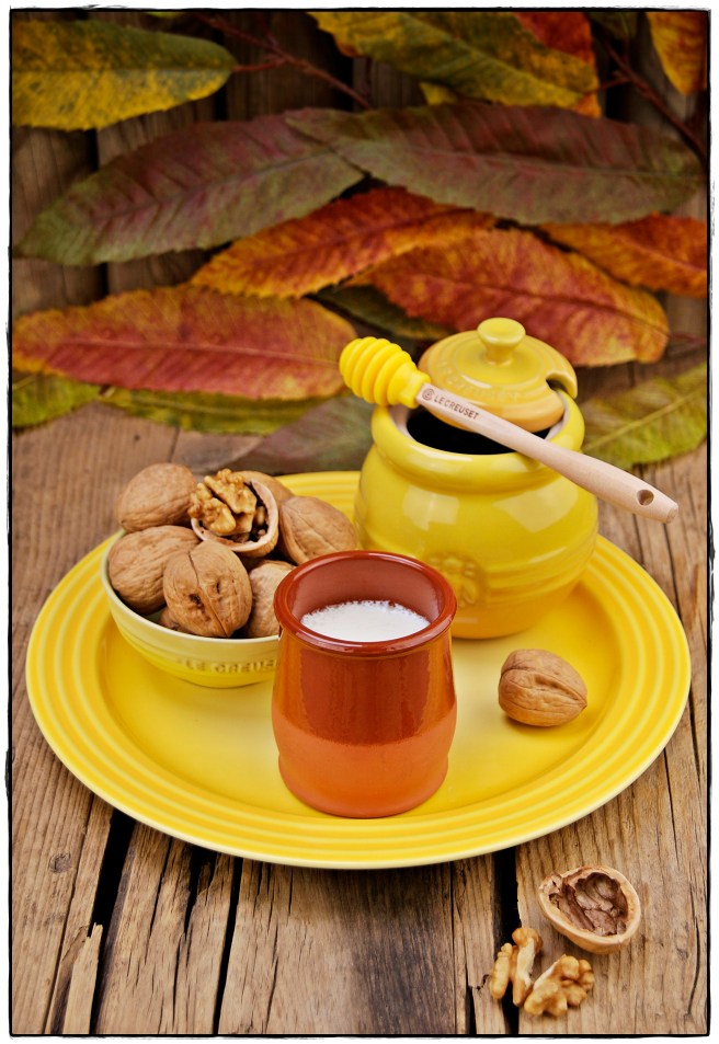 CUAJADA DE LECHE DE CABRA 3.JPG