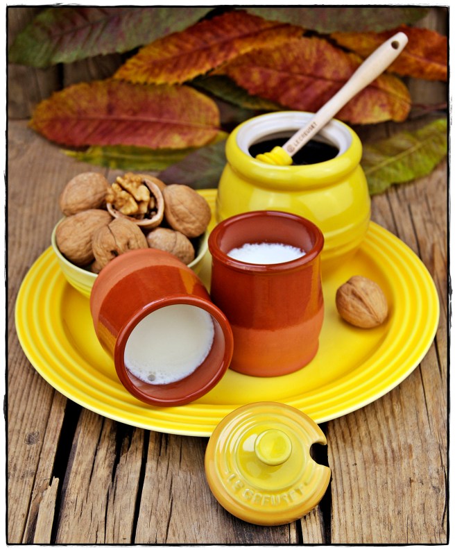 CUAJADA DE LECHE DE CABRA 4.JPG