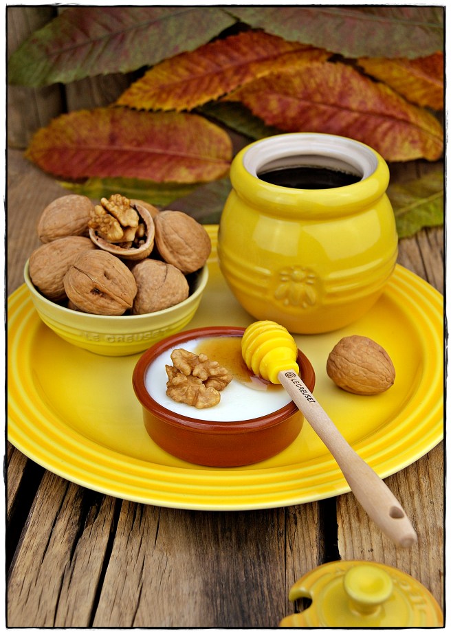 CUAJADA DE LECHE DE CABRA 5,.JPG