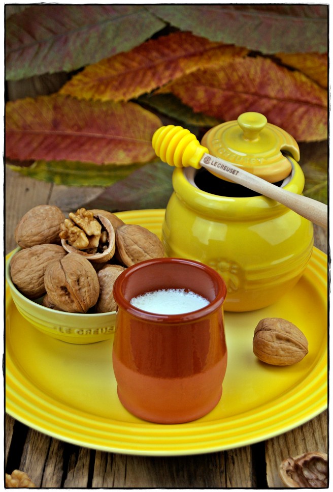 cuajada de leche de cabra clara.JPG