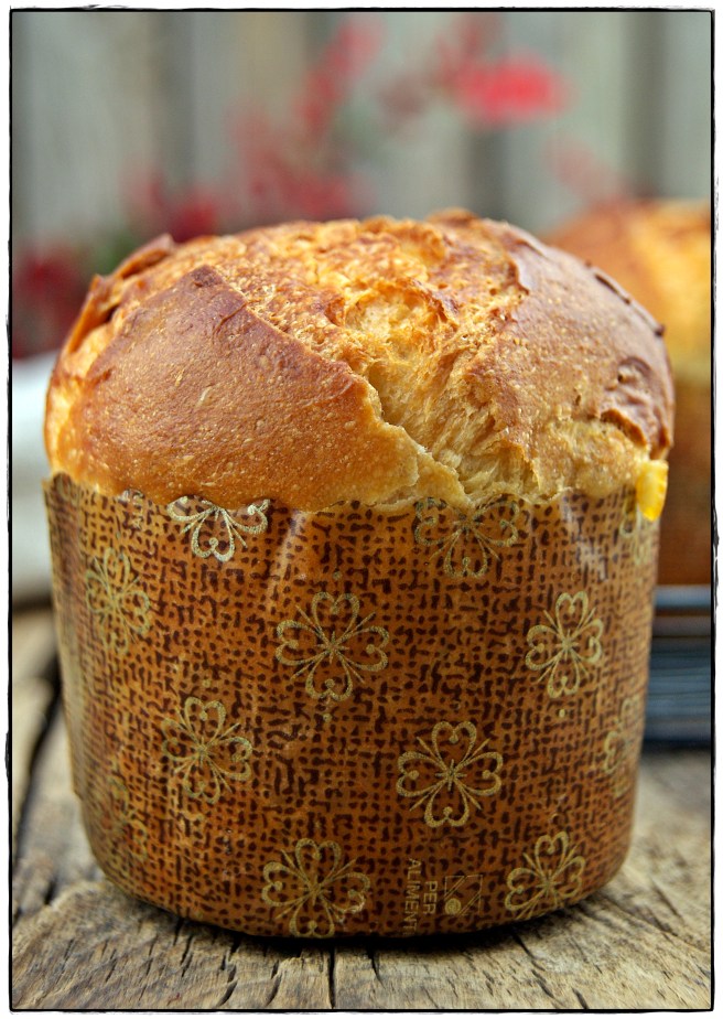 MINI PANETONNE CLÁSICO.JPG