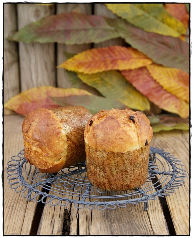 MINI PANNETTONE CLÁSICO 3.JPG