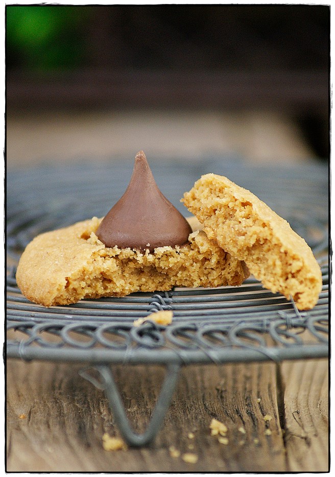 peanuts blossoms.1.JPG