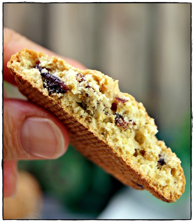 galletas de avena 6.JPG