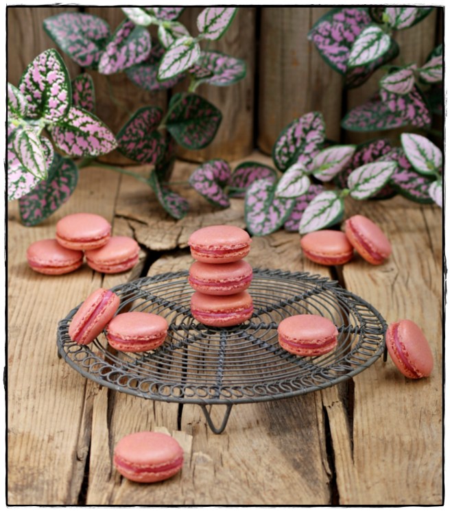 macarons de frambuesa 2.JPG
