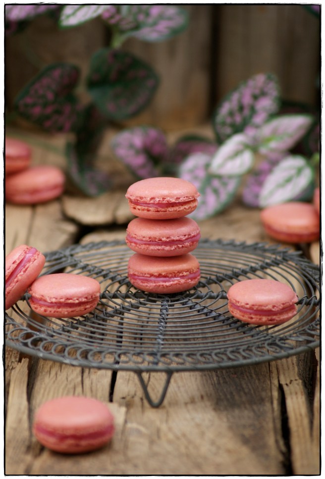 macarons de frambuesa 3.JPG