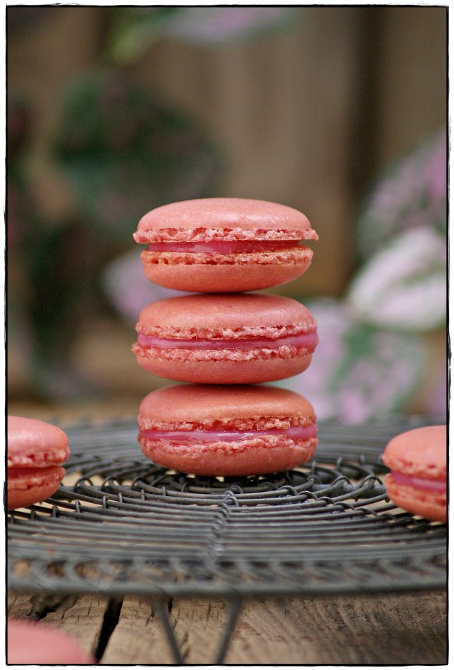 macarons de frambuesa 4.4.JPG