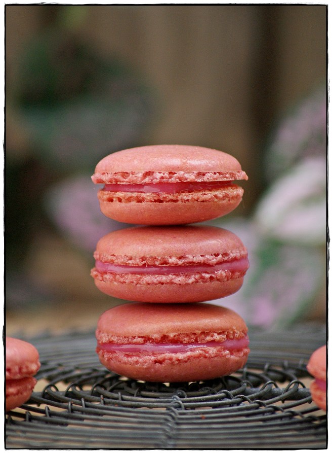 macarons de frambuesa 5.JPG